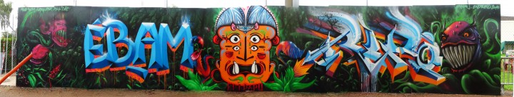 Fresque Festival Epipapu Graffiti