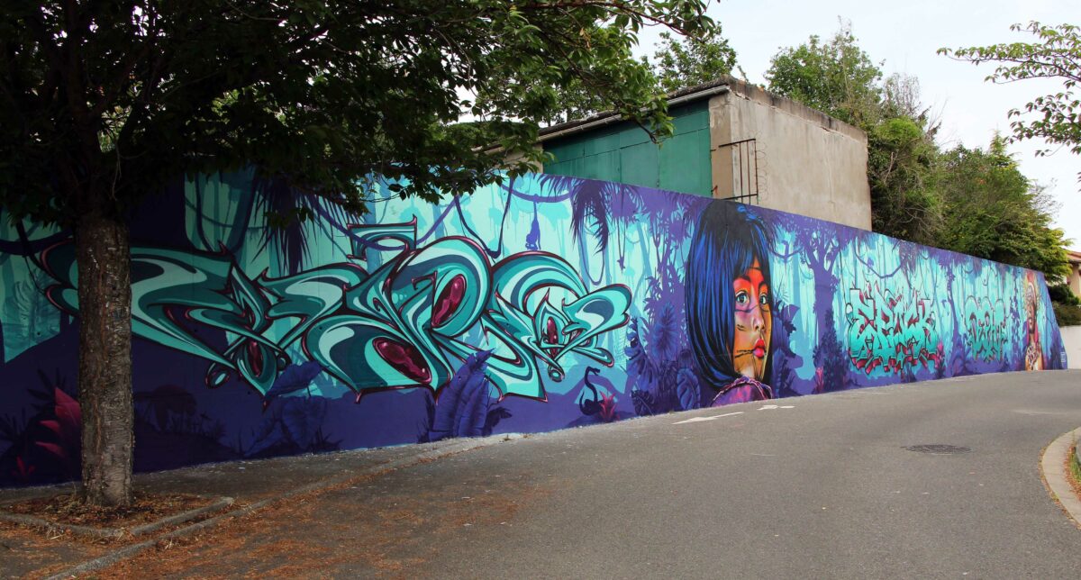 Fresque Amazonie - parcours street art -Clermont-Ferrand